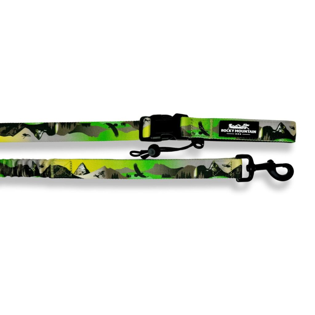 Kootenay All Mountain Dog Leash