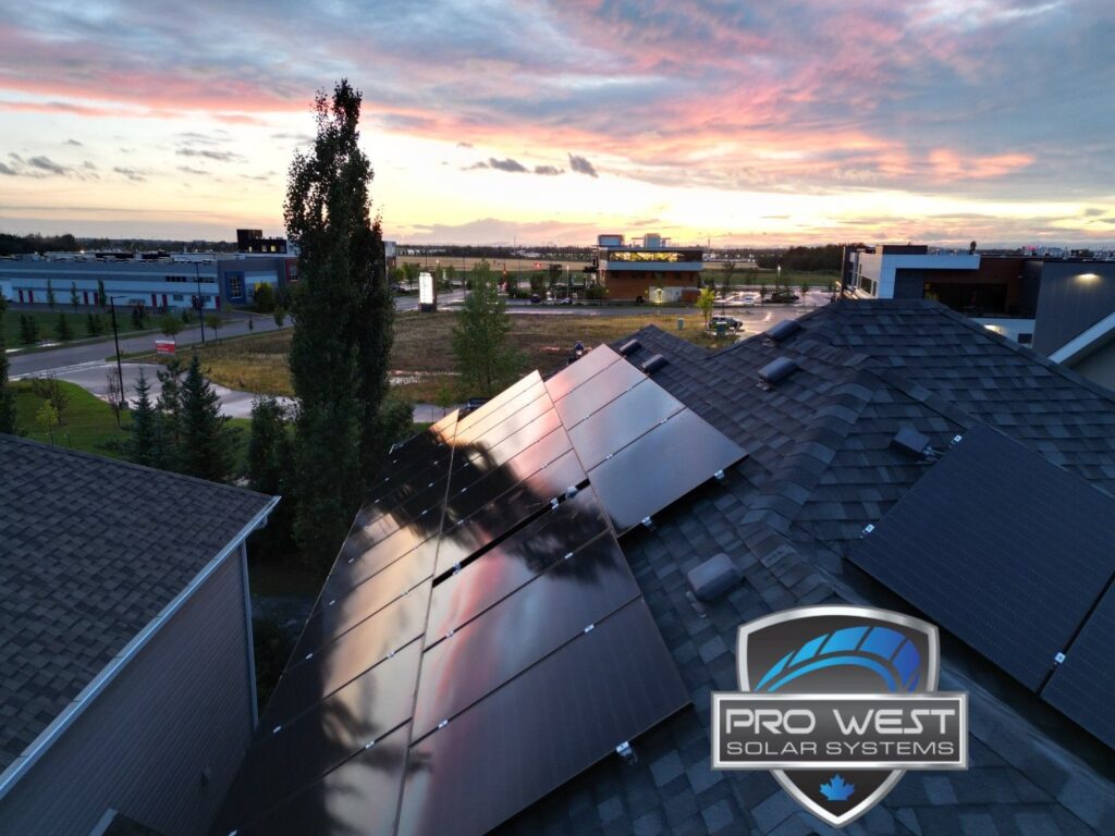 solar panel company