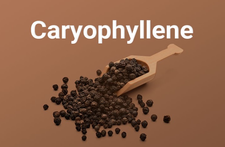 β-caryophyllene
